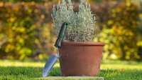 Bosch Handwerkzeuge Gartenkelle