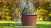 Bosch Handwerkzeuge Gartenhandrechen