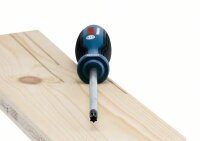 Bosch Combo Kit Schraubendreher-Set, 6-tlg., TX Professional